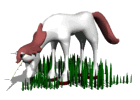 cavallo erba.gif